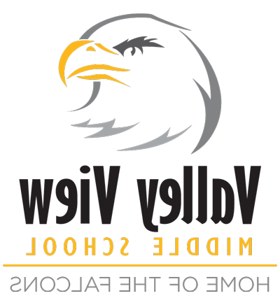 Valley View Middle School Falcons logo